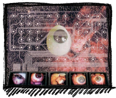 Rox Flame - Wellington New Zealand Artist - The all seeing eye - World View