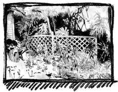 Rox Flame - Wellington New Zealand Artist - new years