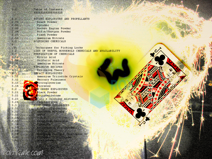 Rox Flame - Wellington New Zealand Artist - terrorism