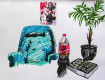 Rox Flame - Wellington New Zealand Artist